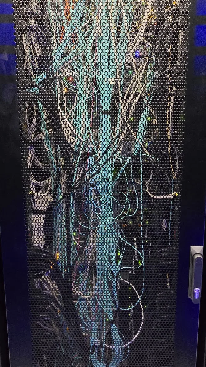 A badly cabled server rack seen through its perforated door, with a dense mass of blue and grey cables filling the space